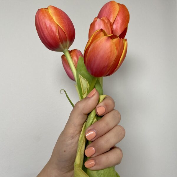 Coral Crush Coral Crush, oranje kleur gel nail stickers. Geen nagelsalon nodig